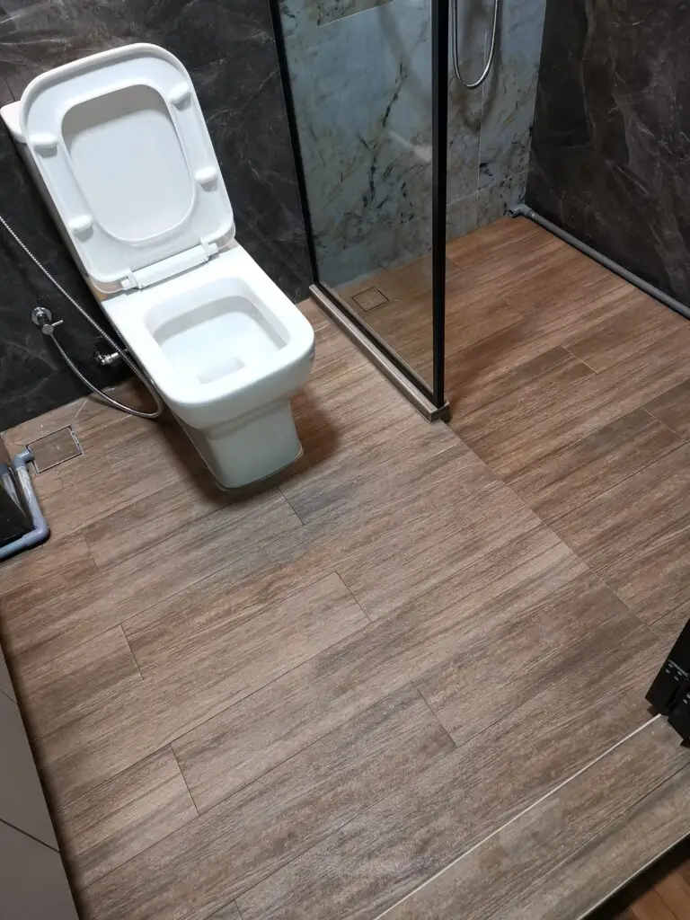 Renovation Cleaning Toilet